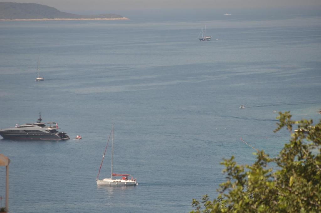 Guest House Stefica Hvar Town Zimmer foto